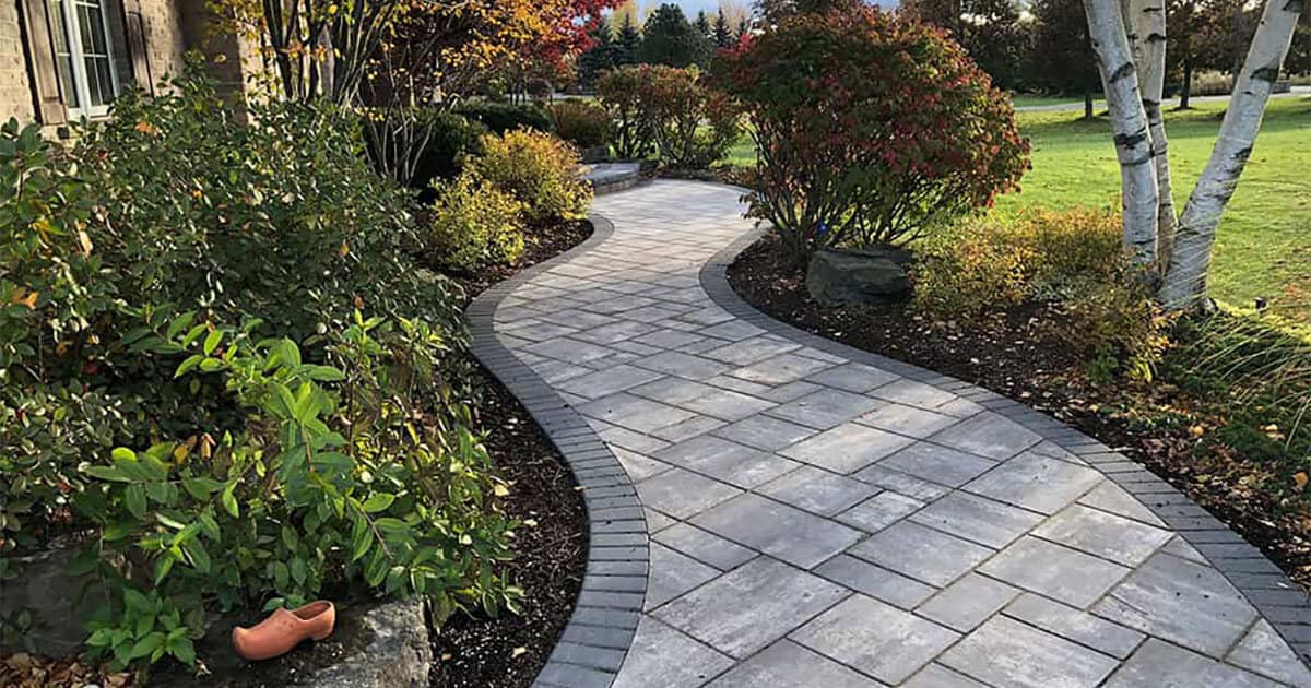 Guide to Paver Maintenance - featured image